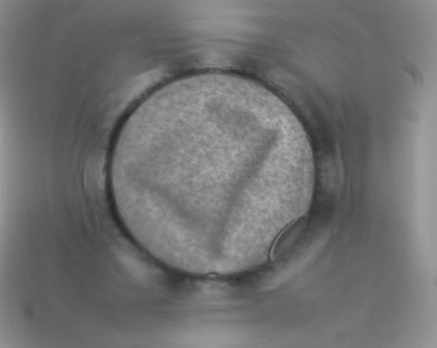 X0000113640395200910162042