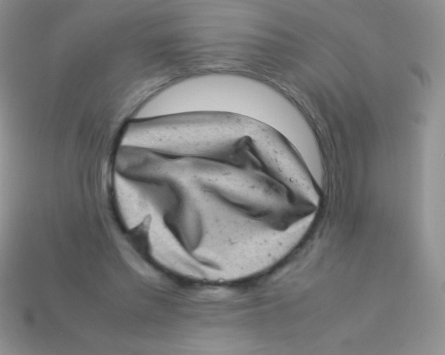 X0000113640397200910162042