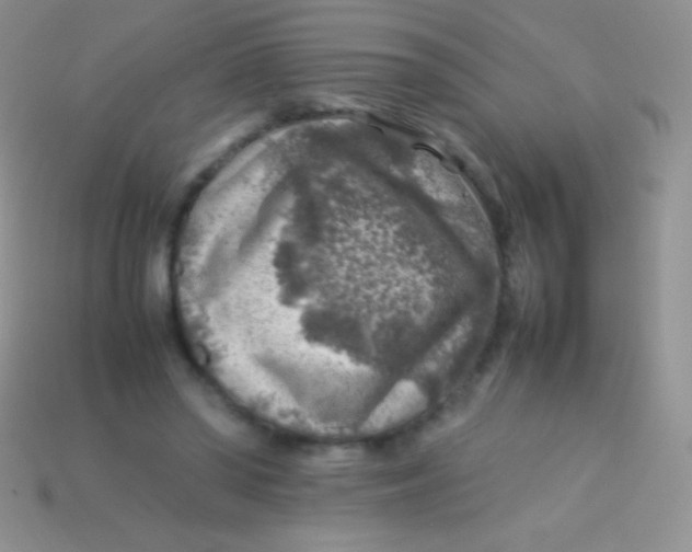 X0000113640398200910162042