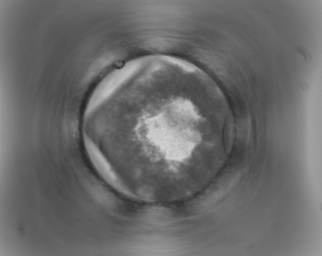 X0000113640399200910162042