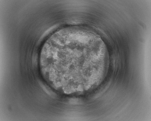 X0000113640400200910162042