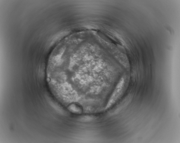 X0000113640402200910162042