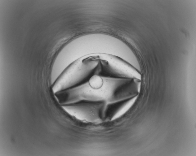 X0000113640403200910162042