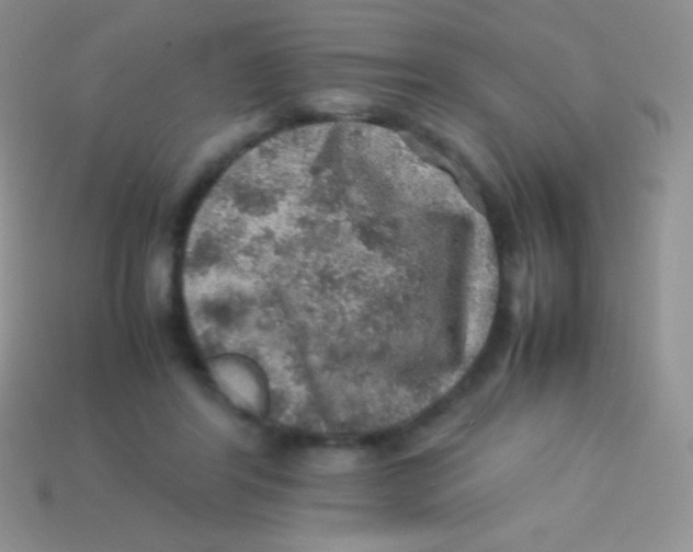 X0000113640404200910162042