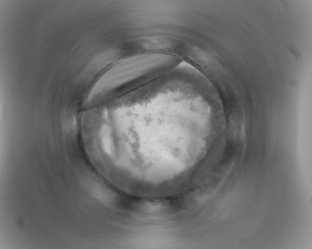 X0000113640405200910162042