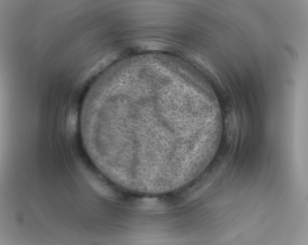 X0000113640406200910162042