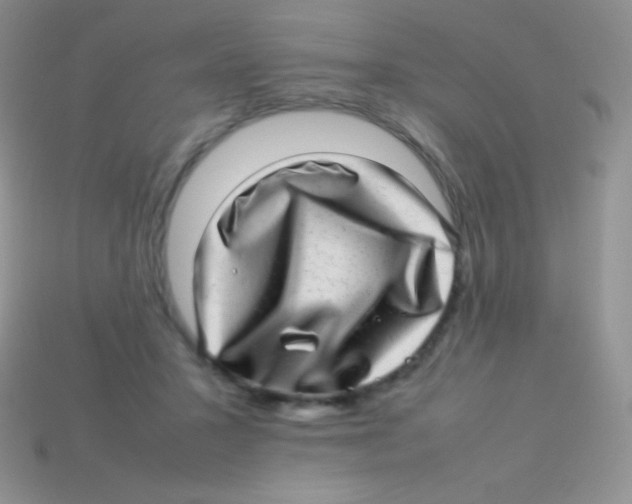 X0000113640407200910162042