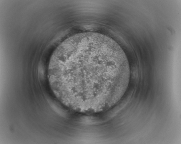 X0000113640408200910162042