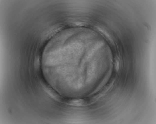 X0000113640410200910162041