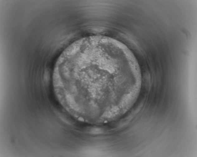 X0000113640412200910162041