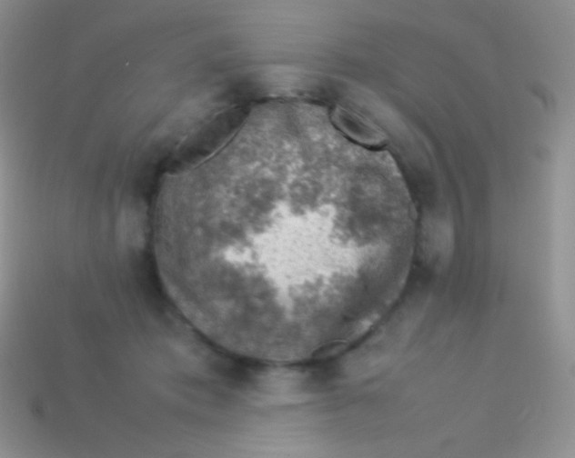 X0000113640413200910162041