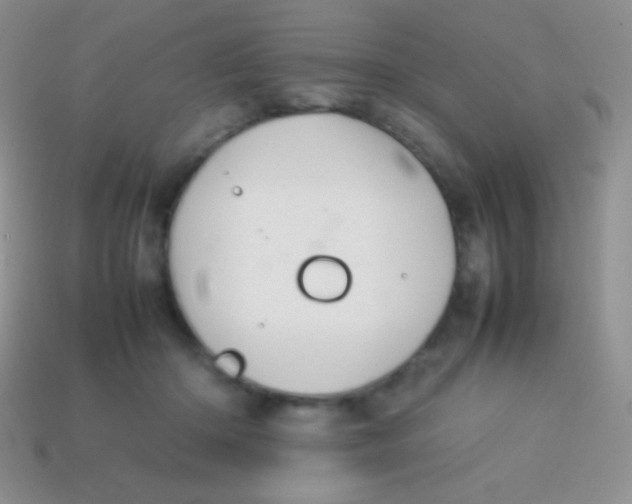 X0000113640414200910162041