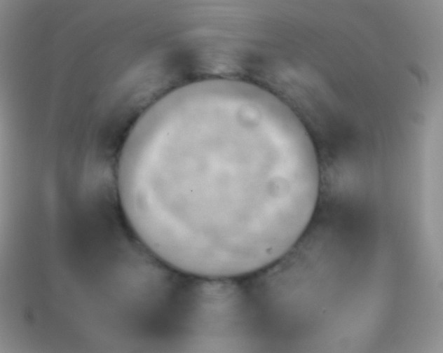 X0000113640415200910162041