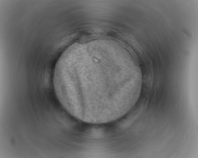 X0000113640416200910162041