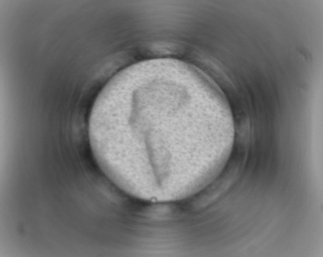 X0000113640418200910162041