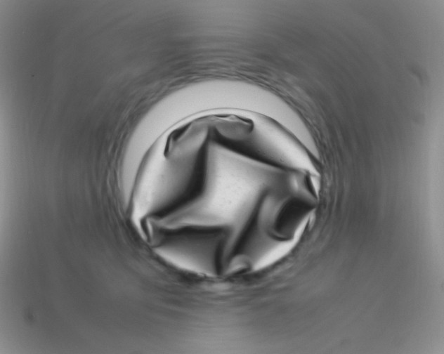 X0000113640419200910162041