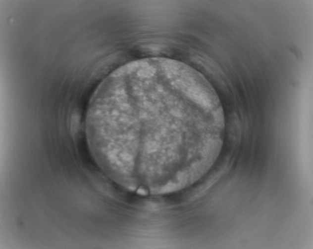 X0000113640420200910162041