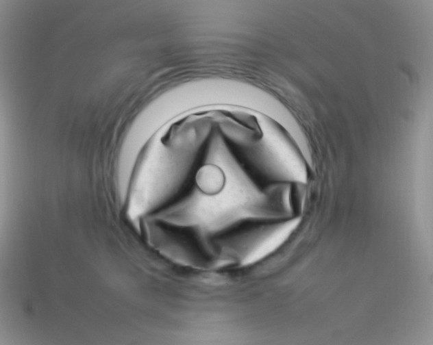 X0000113640421200910162041