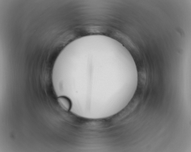 X0000113640422200910162041