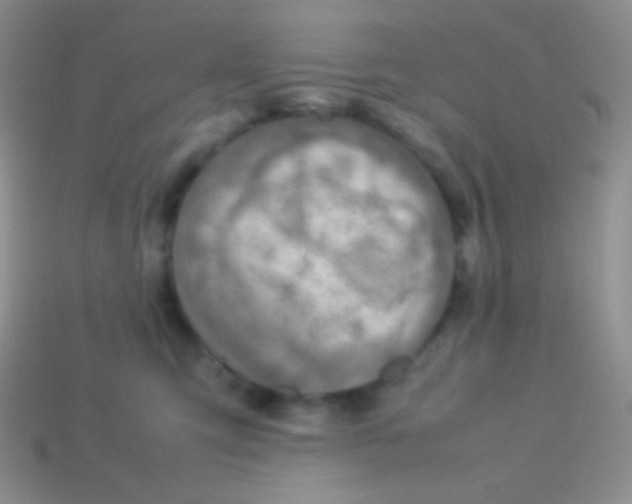 X0000113640423200910162041