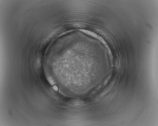 X0000113640424200910162041