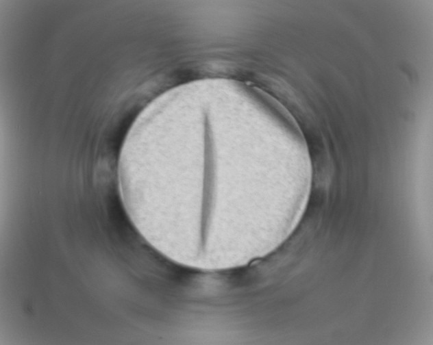 X0000113640425200910162041