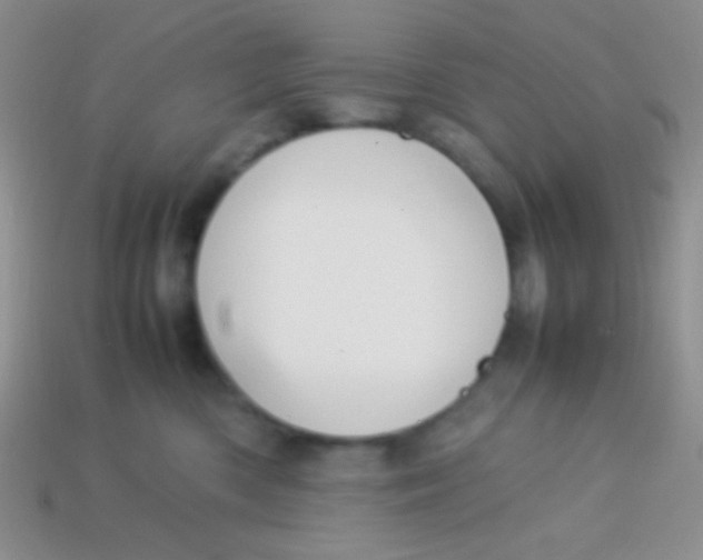 X0000113640426200910162041