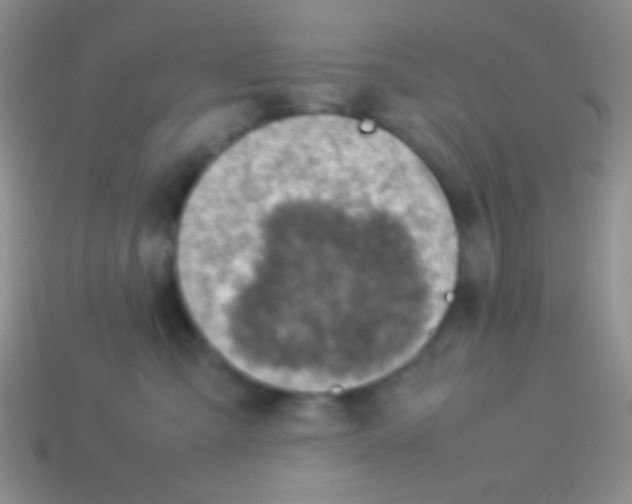 X0000113640427200910162041