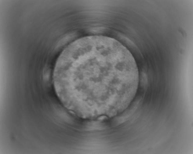 X0000113640428200910162041