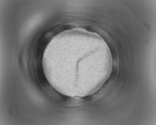 X0000113640429200910162041