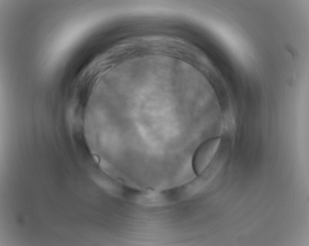 X0000113640431200910162041