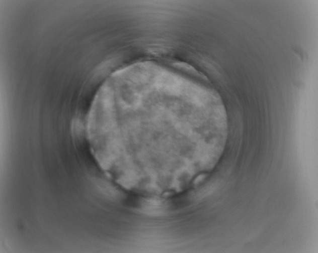 X0000113640432200910162041