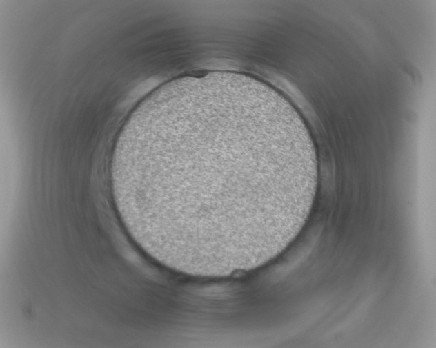 X0000113640433200910162040