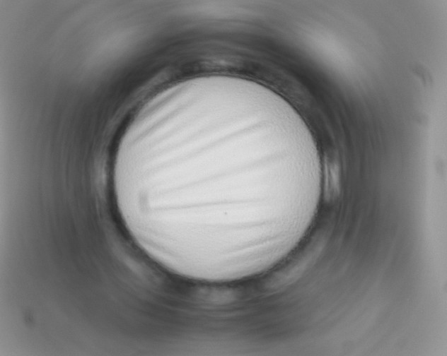 X0000113640435200910162040