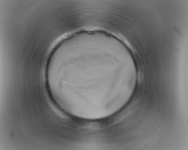 X0000113640438200910162040