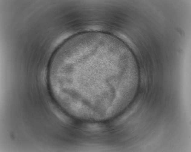 X0000113640439200910162040