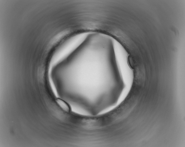 X0000113640440200910162040