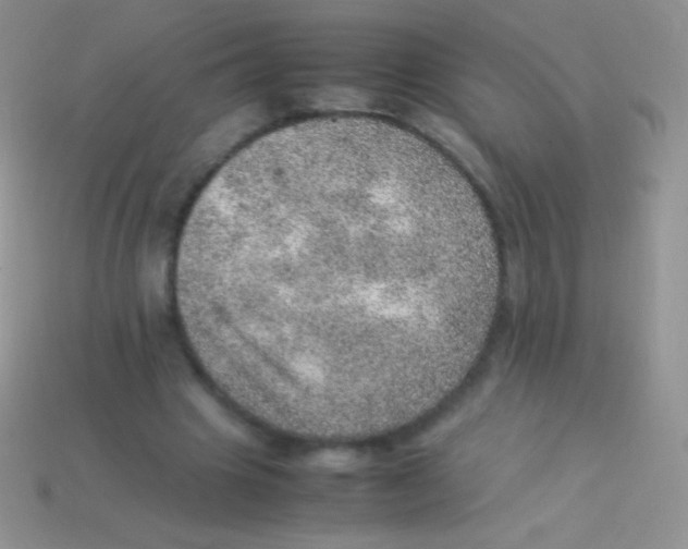 X0000113640441200910162040