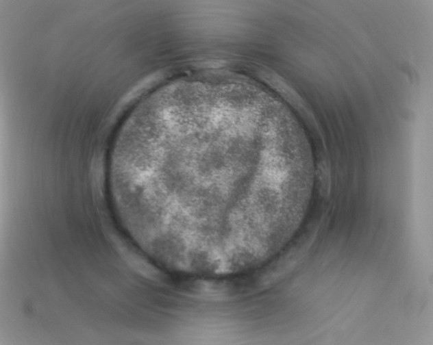 X0000113640442200910162041