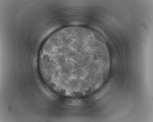 X0000113640443200910162041