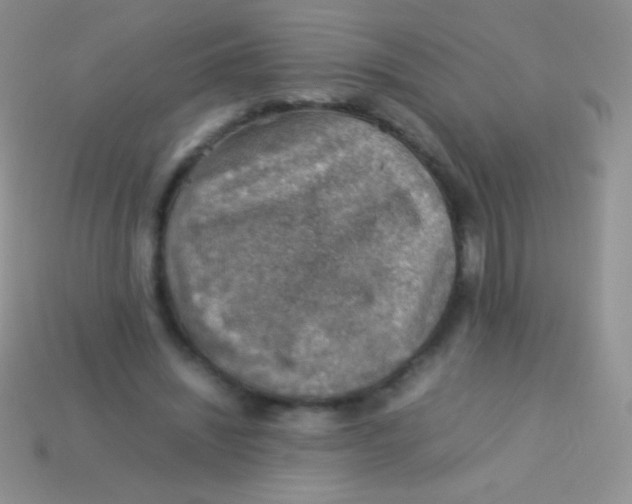 X0000113640444200910162041