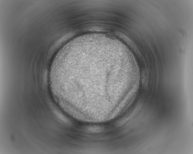 X0000113640445200910162041