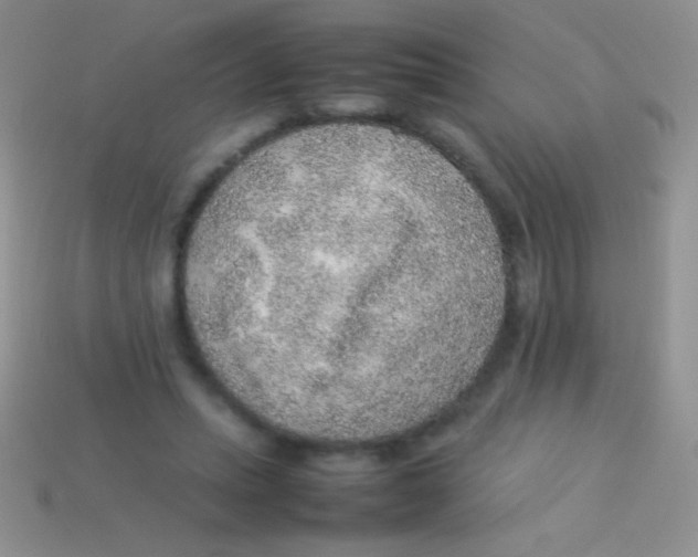 X0000113640447200910162041