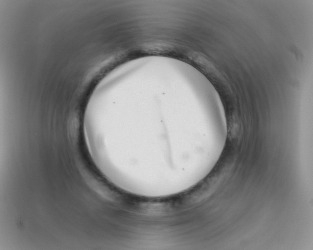 X0000113640448200910162041