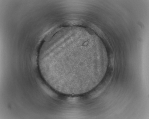 X0000113640450200910162041