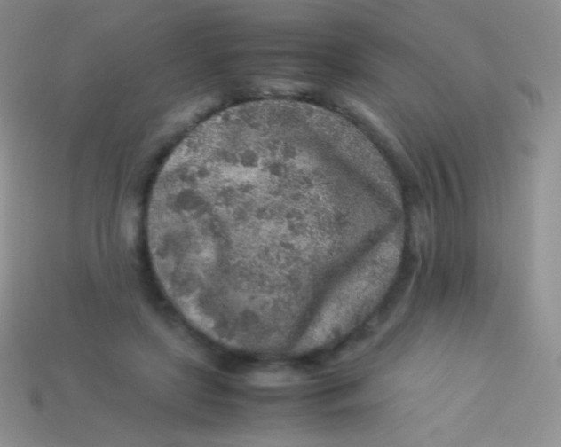 X0000113640451200910162041