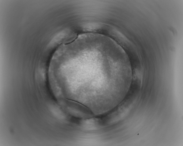 X0000113640452200910162041