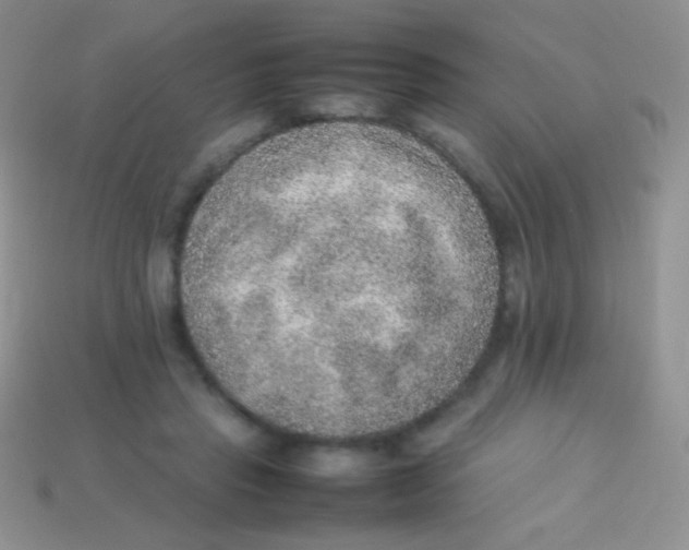 X0000113640453200910162041