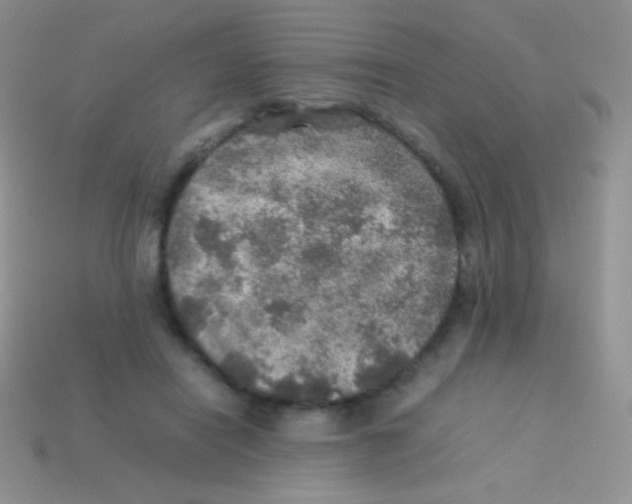 X0000113640454200910162041