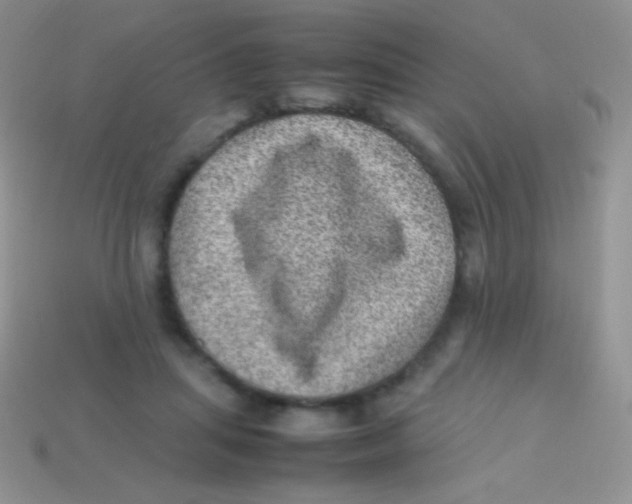 X0000113640455200910162041